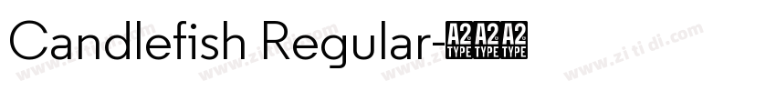 Candlefish Regular字体转换